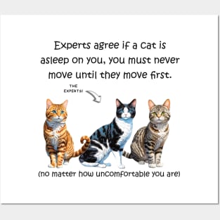 Experts agree if a cat is asleep on you, you must never move until they move first - funny watercolour cat design Posters and Art